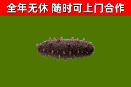 秦皇岛市烟酒回收干海参.jpg